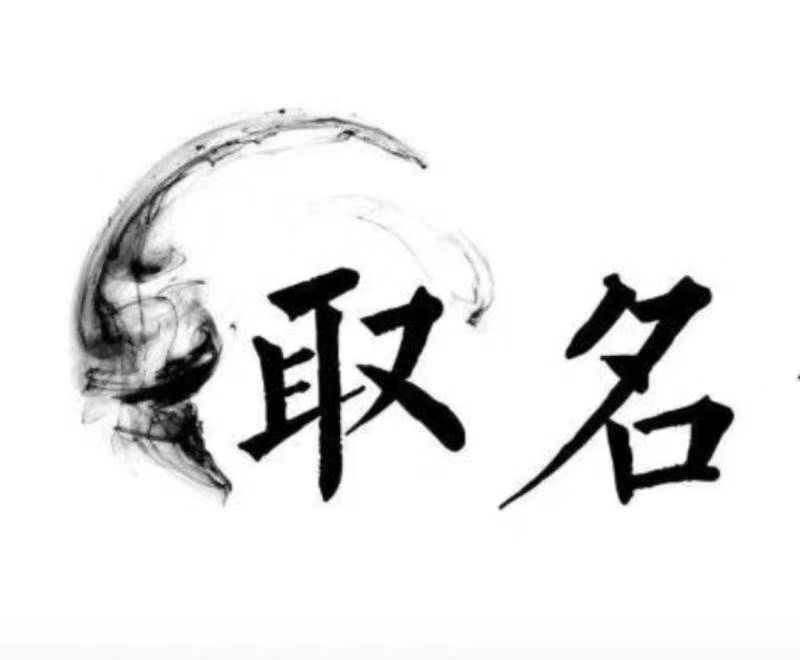  海盐宝宝取名 大师一对一人工起名